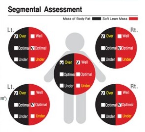 Análisis segmental