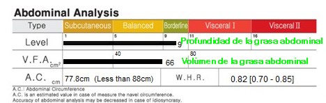 Grasa visceral